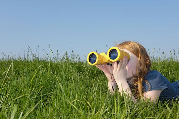 Why Butterfly Watching is Good for You 